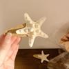 Korean Style Starfish Hair Clip Summer Weaving Style Barrette Straw Hat Hairpin  Hair Accessories