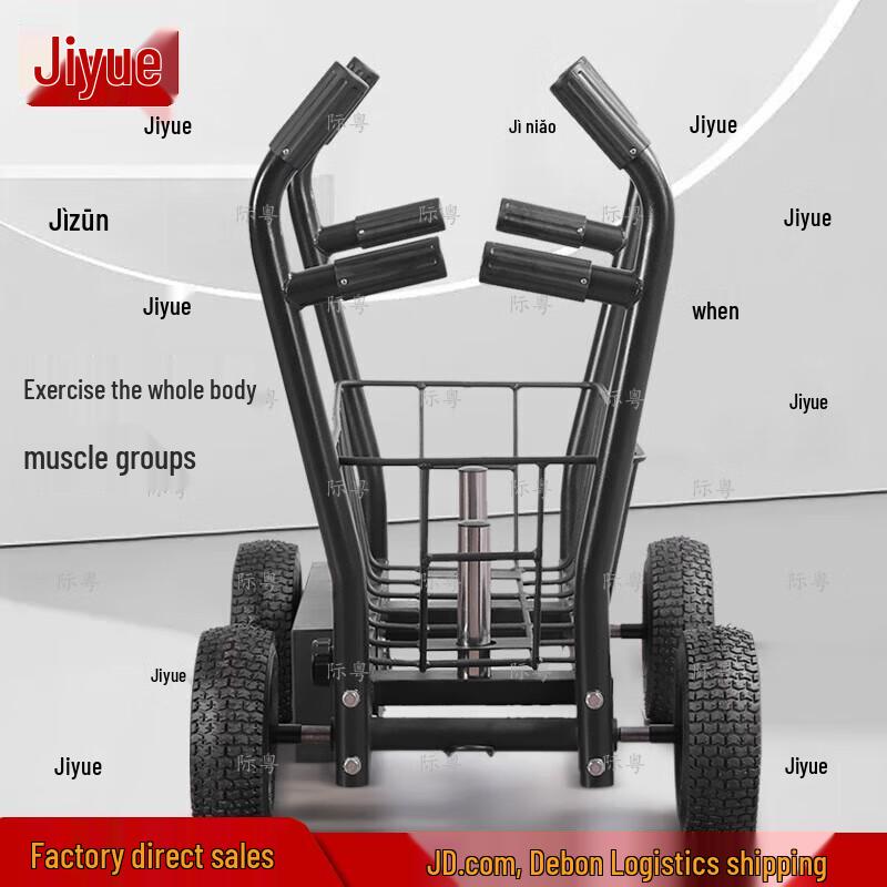 Multifunctional Dual-Resistance Training Sled