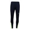 Puma Брюки Zqj 658044 47 Puma Individual Final Training Pants