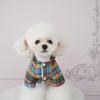 Pet Dog Winter Outfit Set Rainbow Plaid Skirt Two-Legged Coat Small Medium Breeds