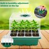 Горшок для рассады Зеленый Посадка Пересадка Многофункциональный Садоводство Посадочный горшок Уход за рассадой Ящик для рассады Горшки для выращивания