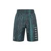 Snakeskin Breathable Loose Shorts Men Bottoms Blue Black CI0313-414