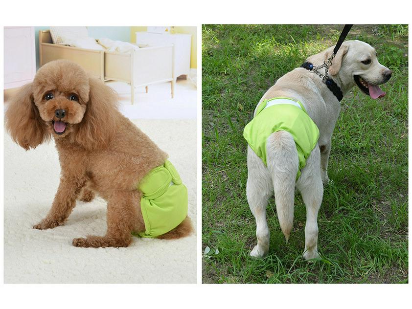 Pet Dog Clothes: Velcro Anti-Harassment Pants for Small To Large Breeds (Teddy, Golden Retriever, Labrador) for Menstrual and Physiological Needs.