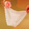 See Through Lace Panties Underwear Transparent Underwear Briefs Seamless T-back See Through Bikini Underwear