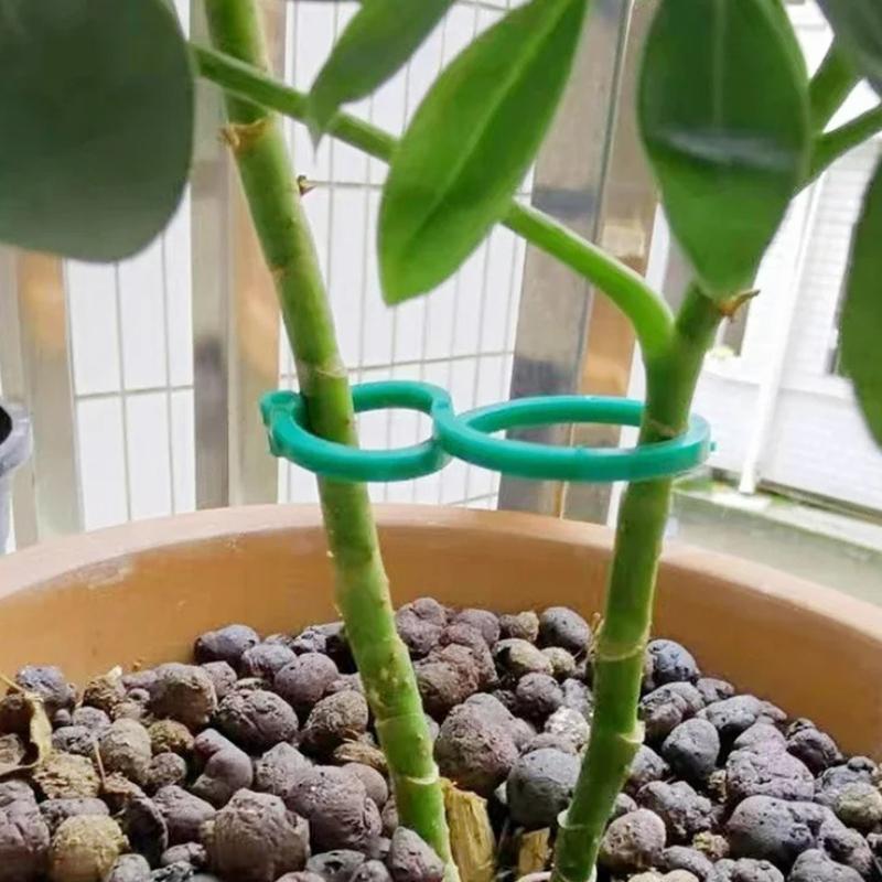 10-50PCS Garden Vine Strapping Clips Plant Bundled Buckle Ring Holder Tomato Plant Stand Support Tool Garden Tomato Grapevine Ties