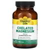 Chelated Magnesium, 250 Mg, 90 Tablets