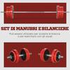 Set Of Barbell And Discs 65kg Total For Home Workout In Metal Iron Sand And Rubber Red