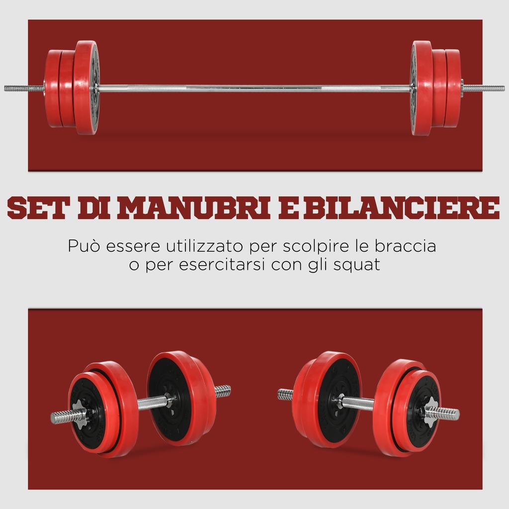 Set Of Barbell And Discs 65kg Total For Home Workout In Metal Iron Sand And Rubber Red
