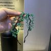 Luxury Fairy Vintage Headband Korean Style Wedding Headwear  Hair Accessories