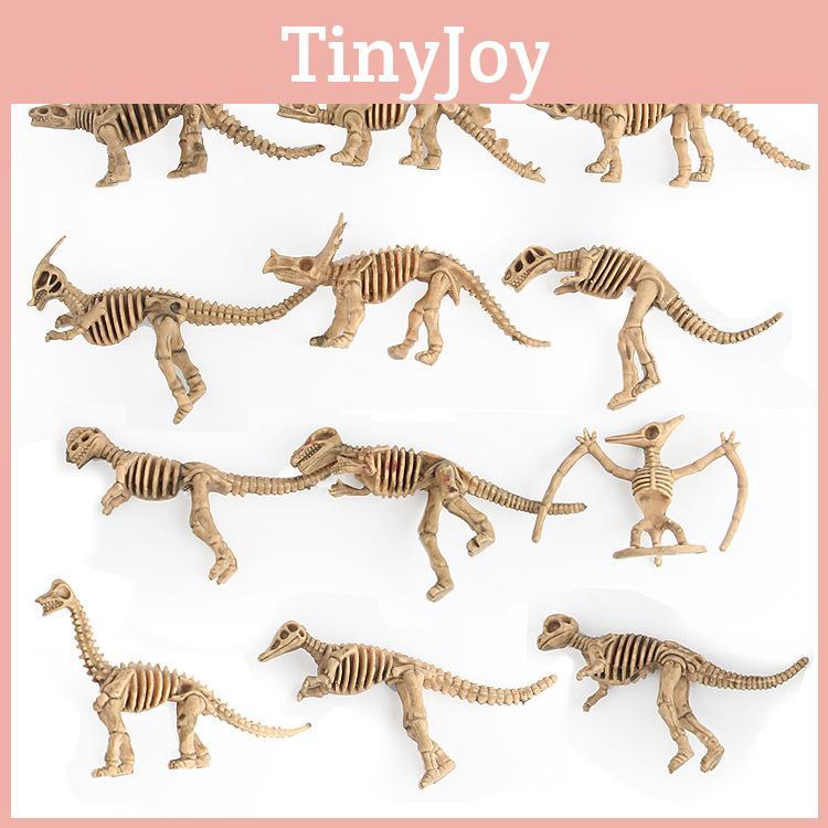 Explore The Fascinating World Of Dinosaurs With Our Durable Skeleton Model Toy Collection