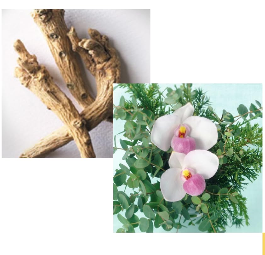 Shiseido Professional Fuente Forte Шампунь 1800 мл Сменный блок