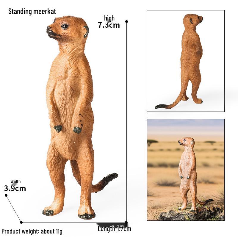 Children's Cognitive Rodent Simulation Toy: Chipmunk, Marmot, Squirrel, Guinea Pig Models