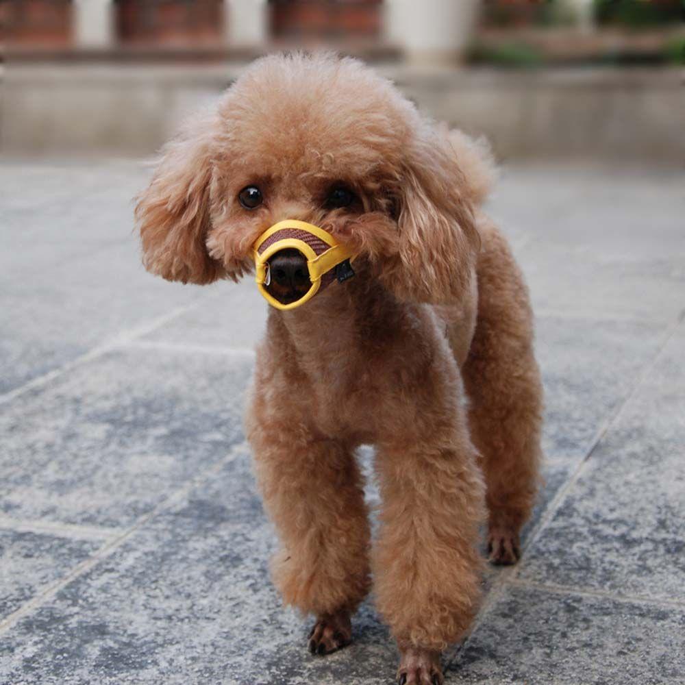 Safety Anti Bite Bark Chewing Adjustable Pet Product Mouth Grooming Mouth Muzzle Dog Muzzle