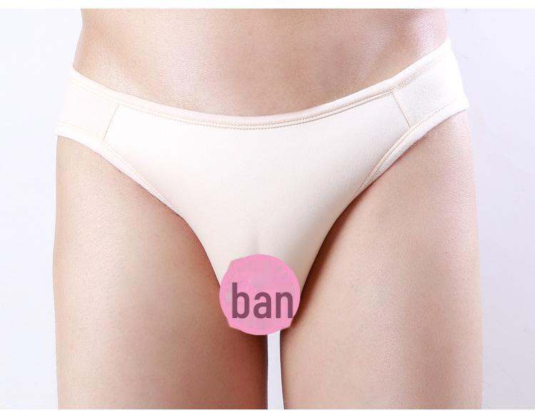 Transgender One-Piece Underwear with Concealed Fake Vagina for Men