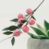 Plastic Simulation Peach Fruit 6 Heads Fake Plants Artificial Peach Branch  Home Garden Decor
