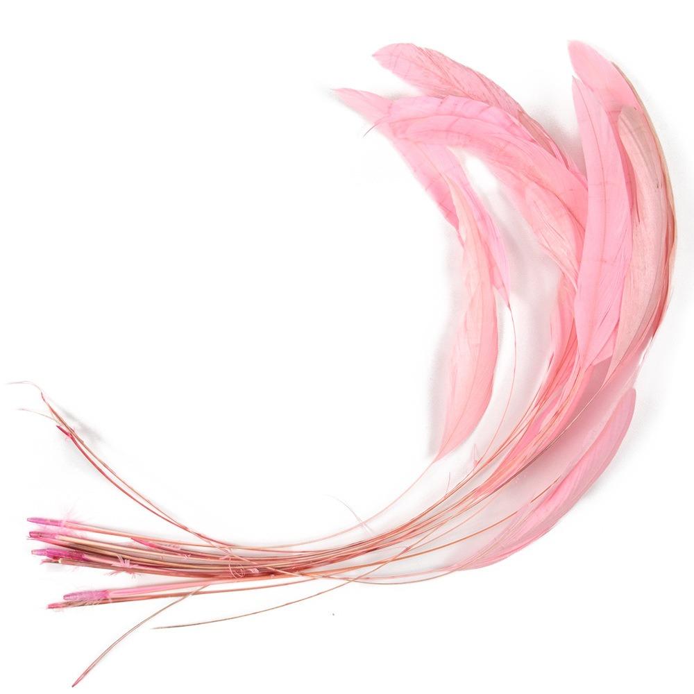 10Pcs Multicolor Rooster Feather Natural Feather Clothing Accessories Feathers Headwear Accessories