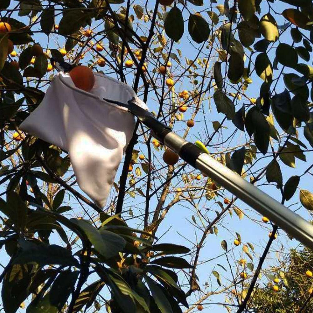 Телескопический плодосборник Мешочек для сбора фруктов на большой высоте Фермерские принадлежности Сборщик фруктов Сад