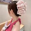 Large Summer Lace Edge Bow Claw Clip Hair Accessory for Women - Multi-Layer Feather Design