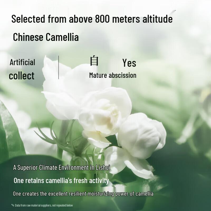 Adolph Plant Extract Shampoo Set