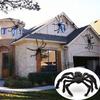 Artificial Black Spider Halloween Horror Party Festival Banquet Decoration