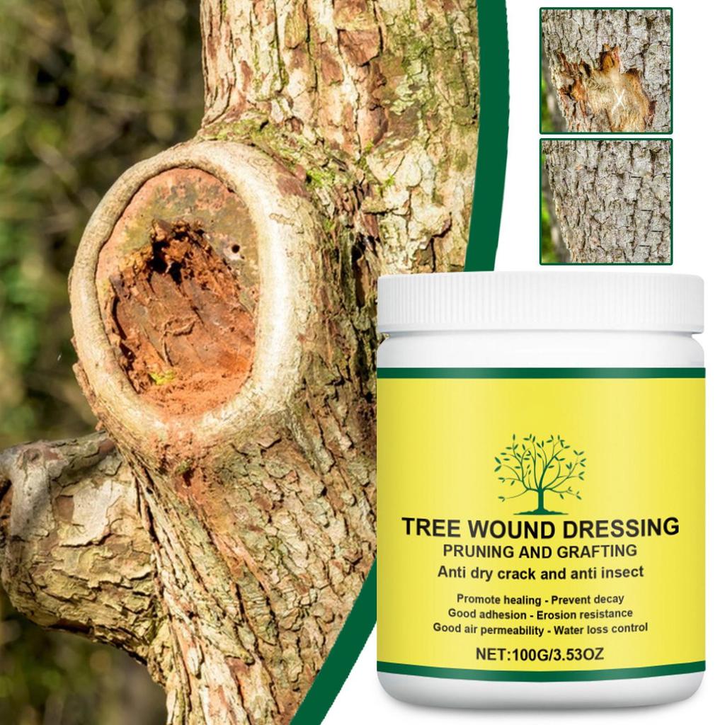 Замазка для ран деревьев Паста для обрезки Прививочный воск 100 г Средство для заполнения растений для зимней защиты Уход Дерево Фрукты Улица