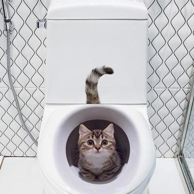 Смешная наклейка на крышку унитаза с котом, водонепроницаемая наклейка для туалета, съемный самоклеящийся декор, бытовые наклейки
