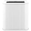 Blue Air Air Purifier Blue 3610 Replacement Filter Particle Plus Carbon 106334 [Genuine Product]