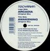 12-дюймовая пластинка TOCHARIAN Arcadia Awakening INT009 Intrinsic Record 2003 UK Dance Electronica Б/у