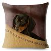 Милый домашний питомец собака миниатюрная такса принт наволочка 45*45 квадратные наволочки льняная наволочка диван домашний декор наволочки