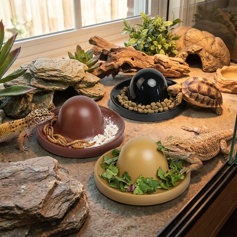 Plastic Reptile Feeder Bowl Round Reptile Water Pot Easy-Clean Feeder Ledge for Amphibians