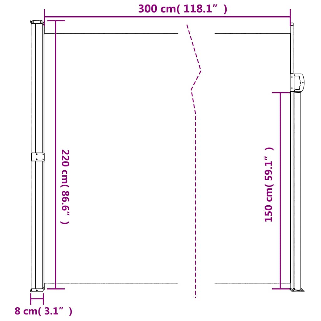 Retractable Side Awning Anthracite 220 x 300 cm
