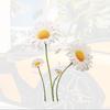 Durable Daisy Car Stickers Hide Scratches Auto Window Door Bumper Waterproof Decals for All-Terrain Vehicles Car Accessories