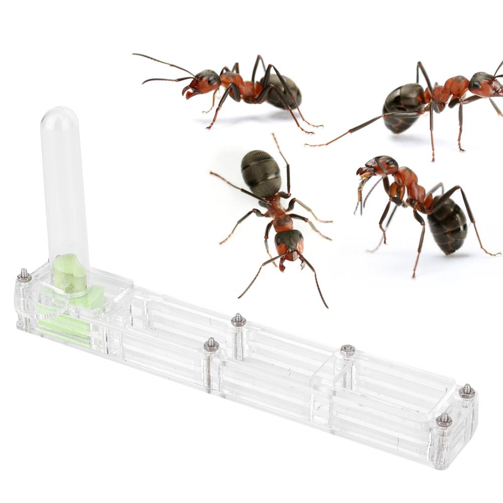 Acrylic Ant Breeding House Nest Formicarium Display Box with Water Tower Moisturizing