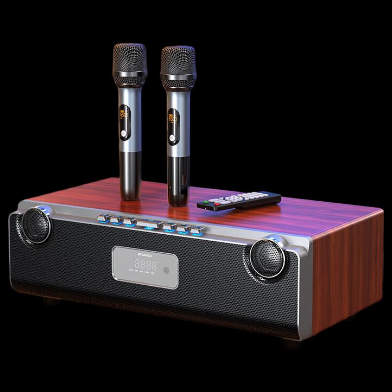 SANSUI All-in-One Home KTV Audio System CN plug (adapter included)