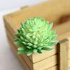Artifical Plastic Succulent Plant Cactus Echeveria Flower Home Office Decor Gift