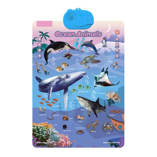 Электронная говорящая настенная таблица АБВ слова Животные Фрукты Транспорт Алфавит Обучающий плакат Таблица Малыши Интерактивная образовательная подвесная таблица Игрушка