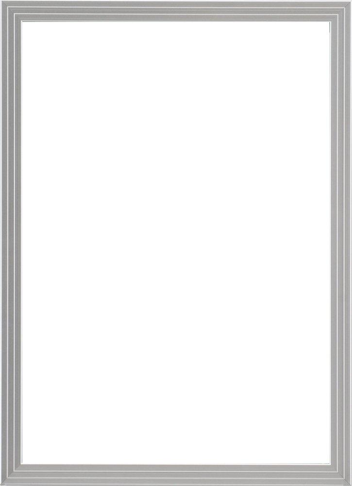 Daigaku Light Frame A3 Silver 5008