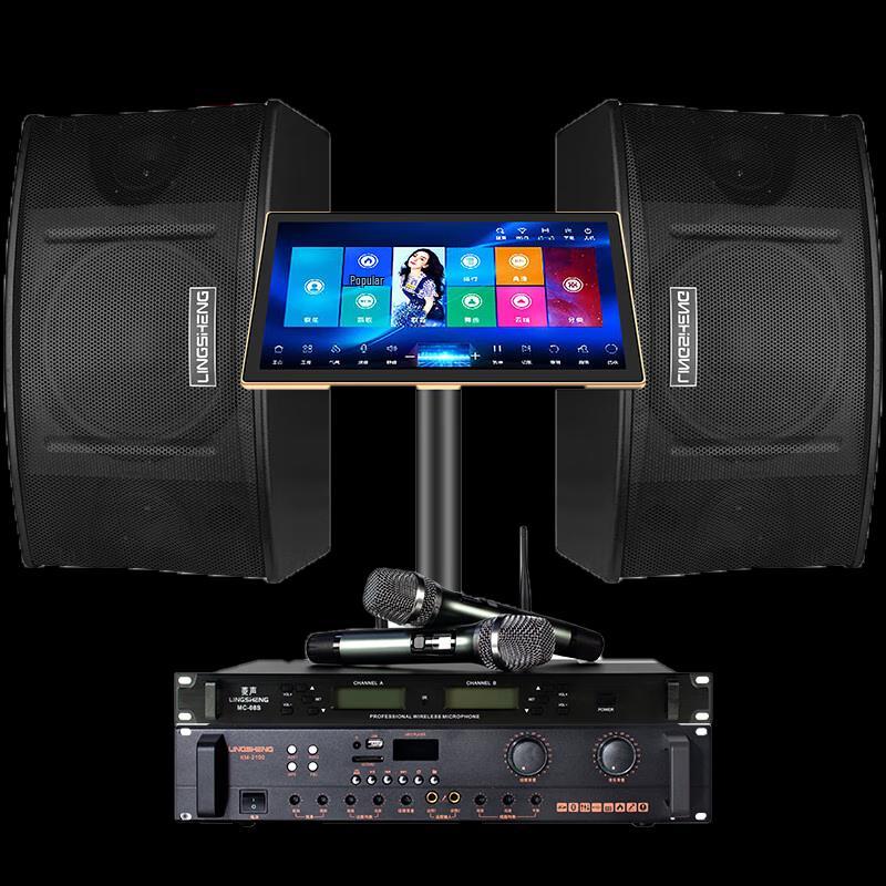 LINGSHENG Home Theater Karaoke System CN plug (adapter included)