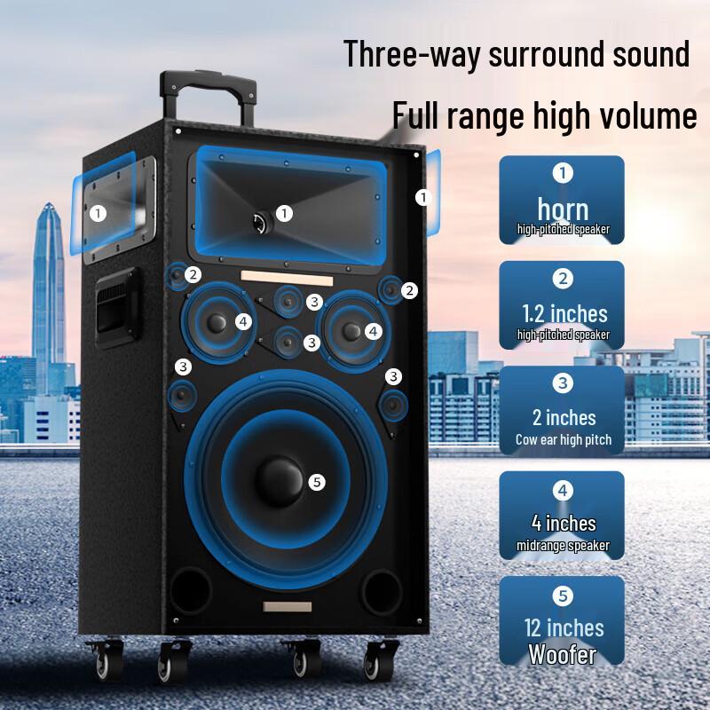 Newman N550 12-inch Portable Outdoor Bluetooth Speaker with Microphone