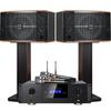 Комплект акустических систем для караоке SANSUI FK121 KTV
