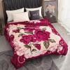 150x200cm Raschel Blanket Thick Double-layer Soft Plush Quilt Double Sided Velvet Winter Dormitory Office Sofa Warm Bed Sheet