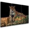Картина из трех частей, печать на холсте, леопардовая пантера, кошка, животное