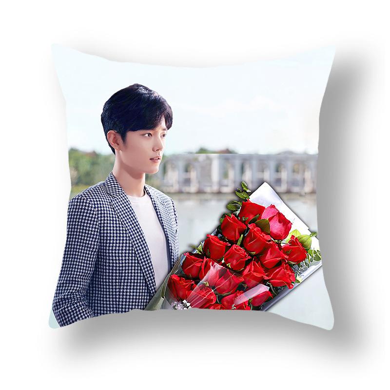 Наволочка с принтом знаменитости, Рекламная наволочка для дивана, прикроватная подушка