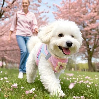 Сетчатая шлейка поводок для маленькой собаки прогулочная с цветком уличная светоотражающая жилетного типа цветная дышащая шлейка поводок для питомца