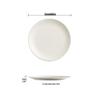 Drian Japanese Ceramic Dinner Plate