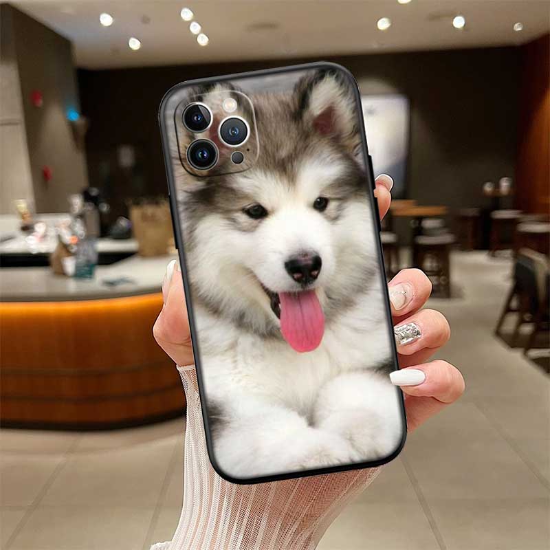 NH32 husky dog New High-End Shell Phone Case for Xiaomi Poco F8 M4 M5 M6 M7 X3 X6 X7 Pro GT NFC Ultra