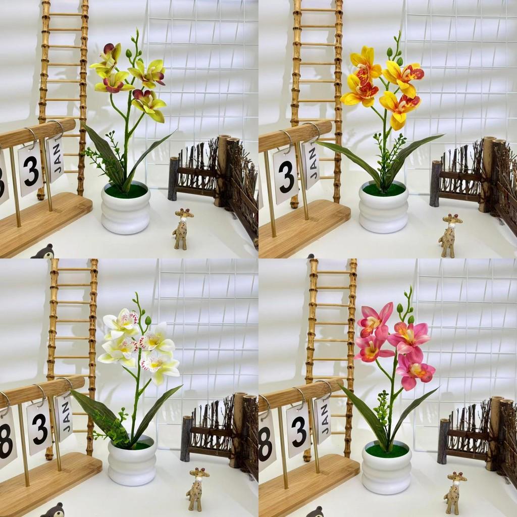 Рольфе Цимбидиум Фабери Искусственное Растение Цветы Бонсай Для Фотографии Реквизит