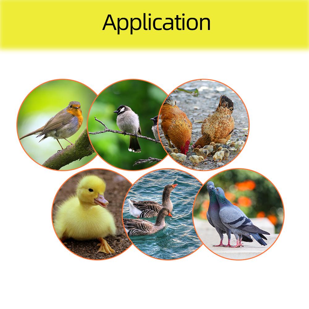 Инкубатор на 154 яйца Автоматический лоток для переворачивания яиц Птица Утка Куриные яйца Машина для высиживания 12В 220В Вращающиеся инкубационные лотки