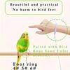 Fashionable Bird Release Rope for Daily Outdoor Activities with Foot Ring And Lobster Clasp Durable Bird Leash for Beloved Birds