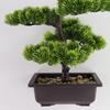 Прочное искусственное растение бонсай декоративное красивое премиум-класса